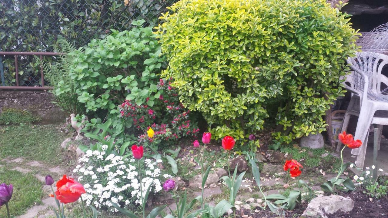 B&B Il Patio Bergamo Exterior photo
